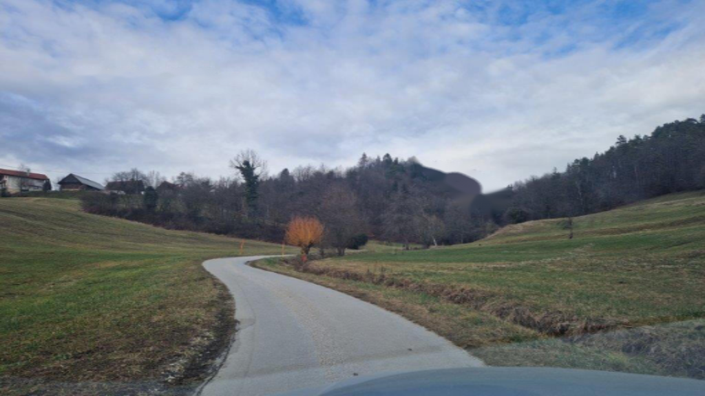 Ферма в Целе, Словения, 45 000 м² - фото 5