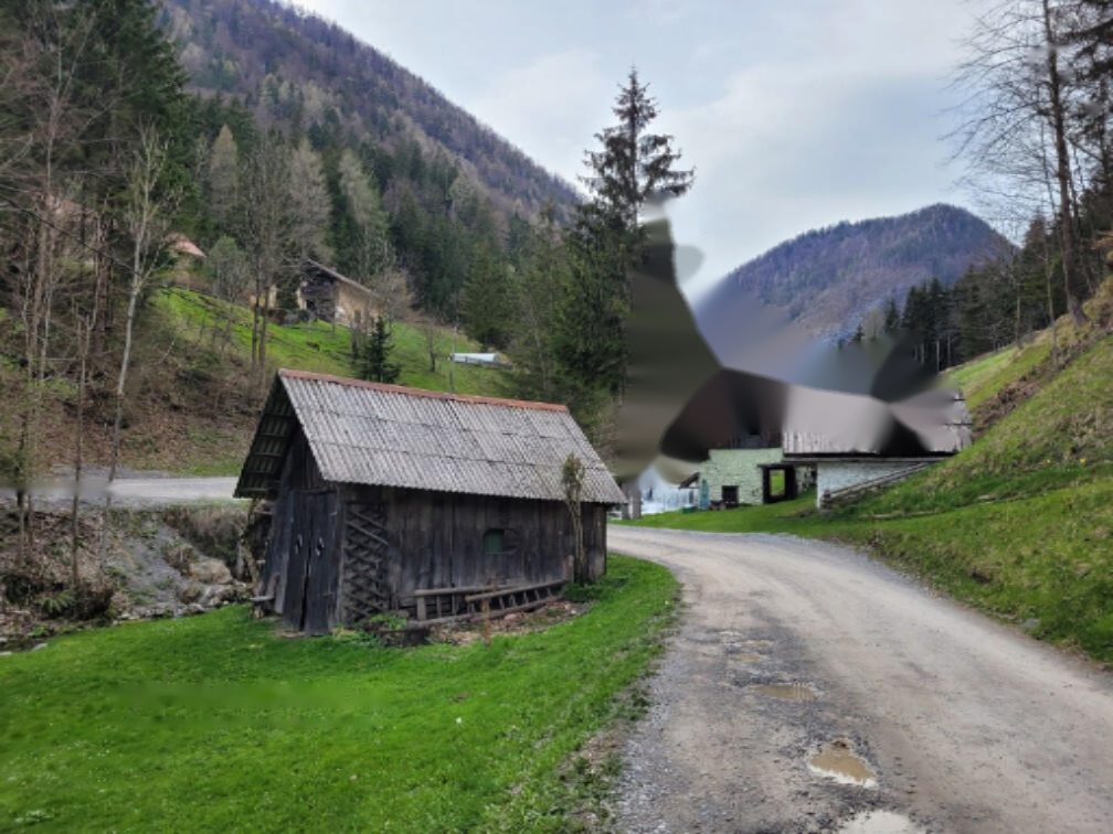 Ферма в Веленье, Словения, 26 317 м² - фото 5