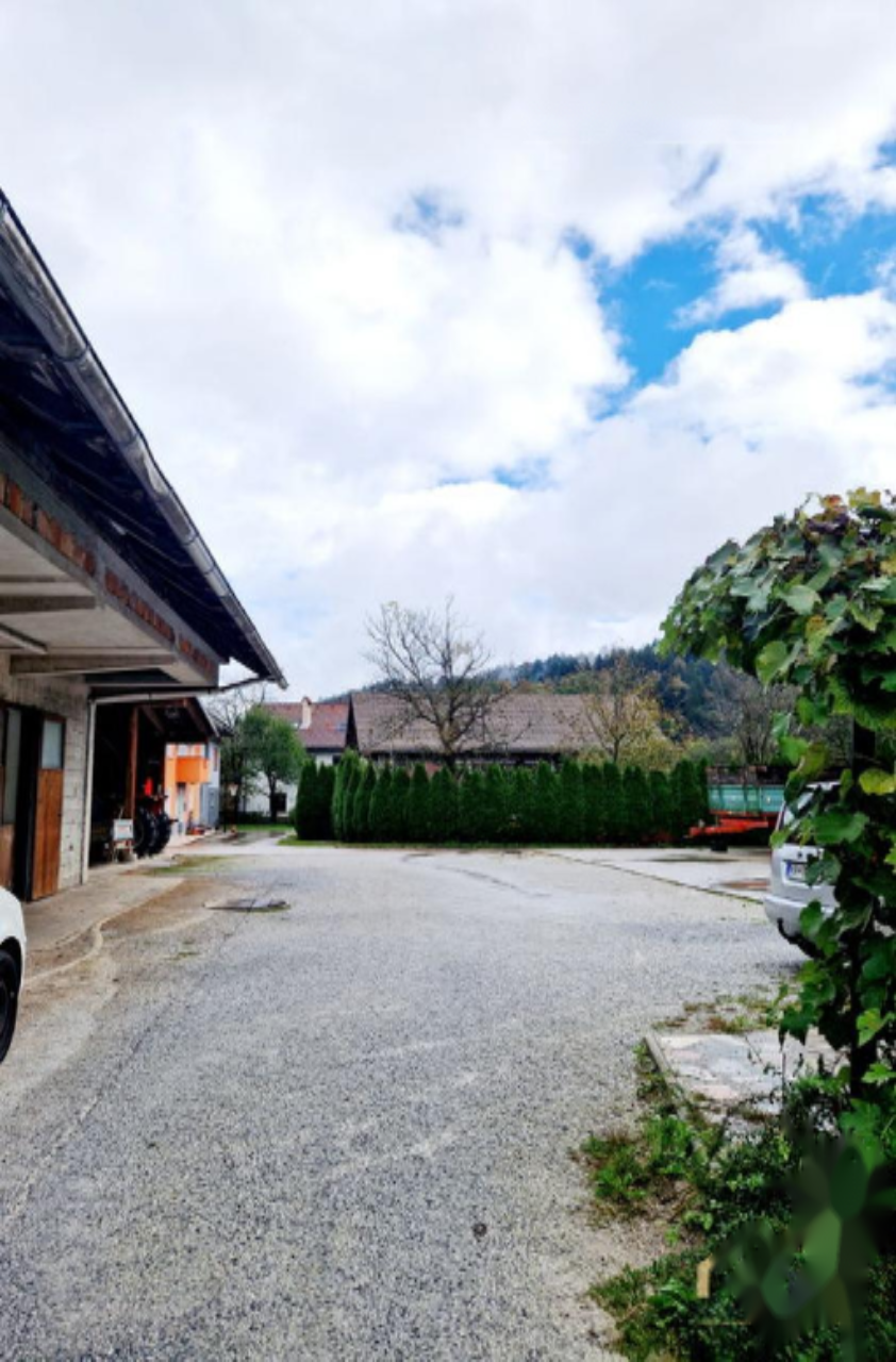 Ферма в Шкофья-Лока, Словения, 262 м² - фото 6