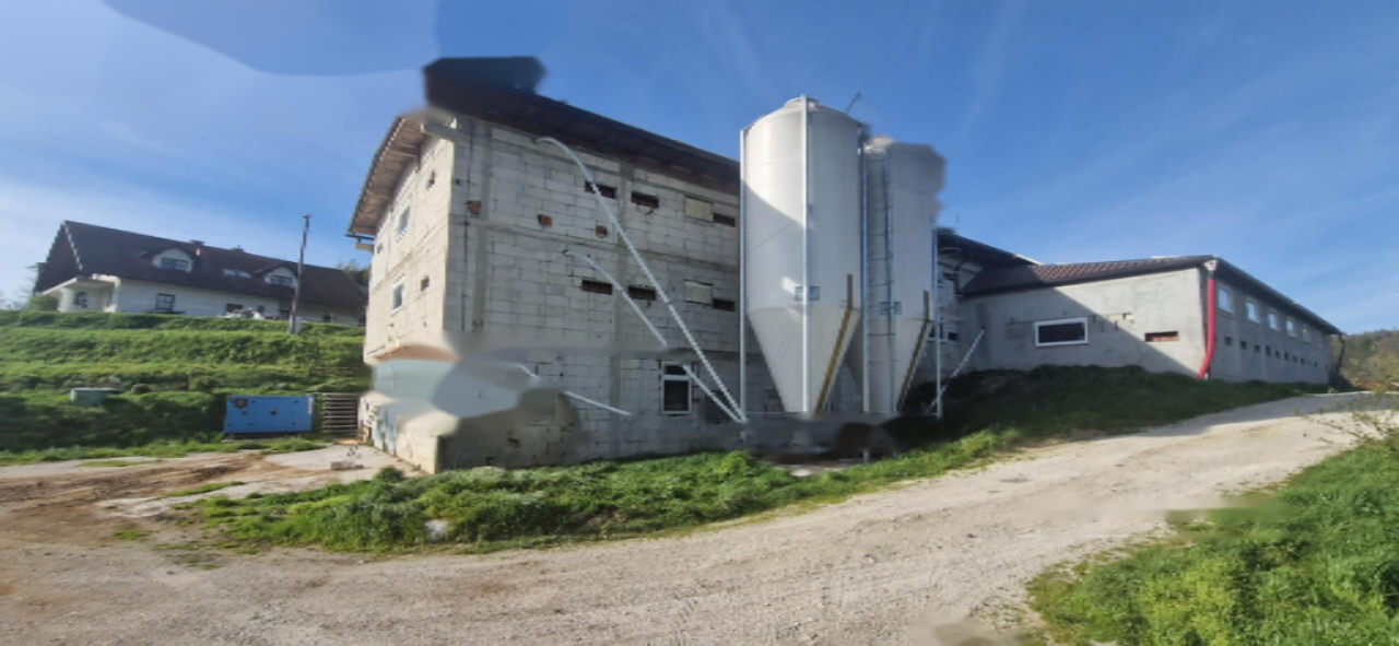 Ферма в Словенска-Бистрице, Словения, 81 802 м² - фото 6