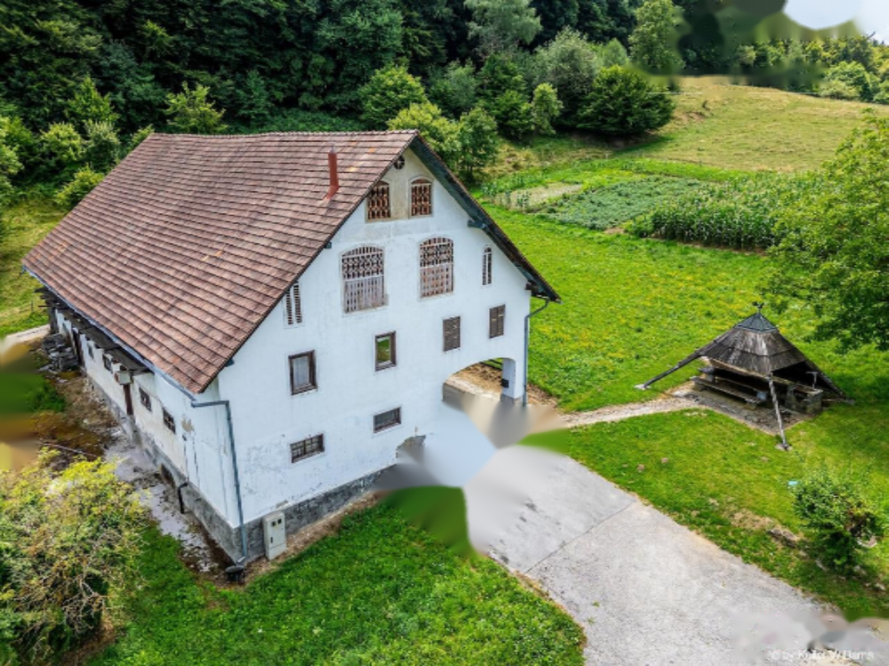 Ферма в Шентюре, Словения, 600 м² - фото 6