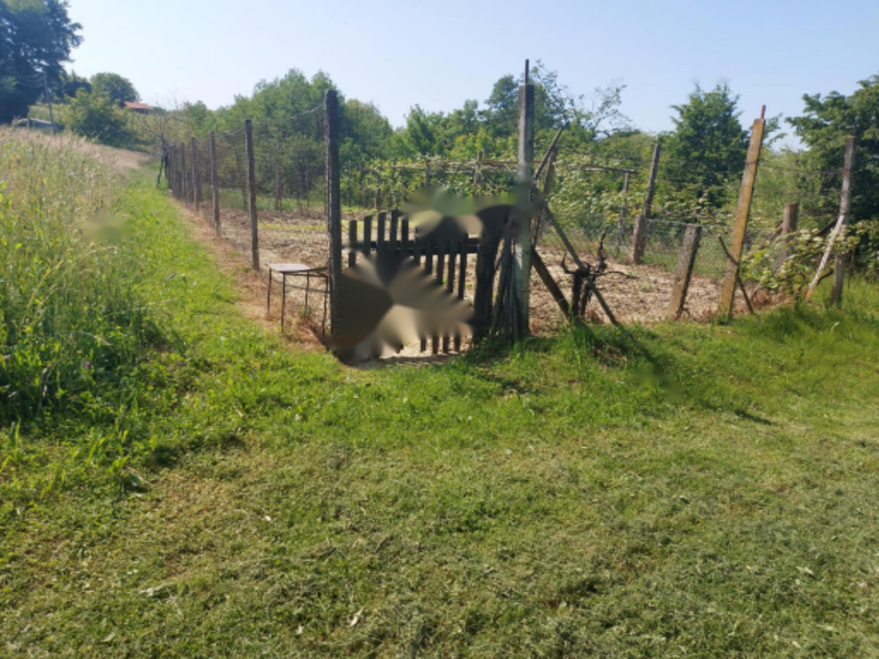 Ферма в Церквеняке, Словения, 12 900 м² - фото 6