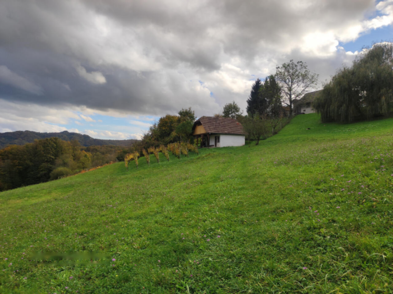 Ферма в Шмарье-при-Елшах, Словения, 27 526 м² - фото 7