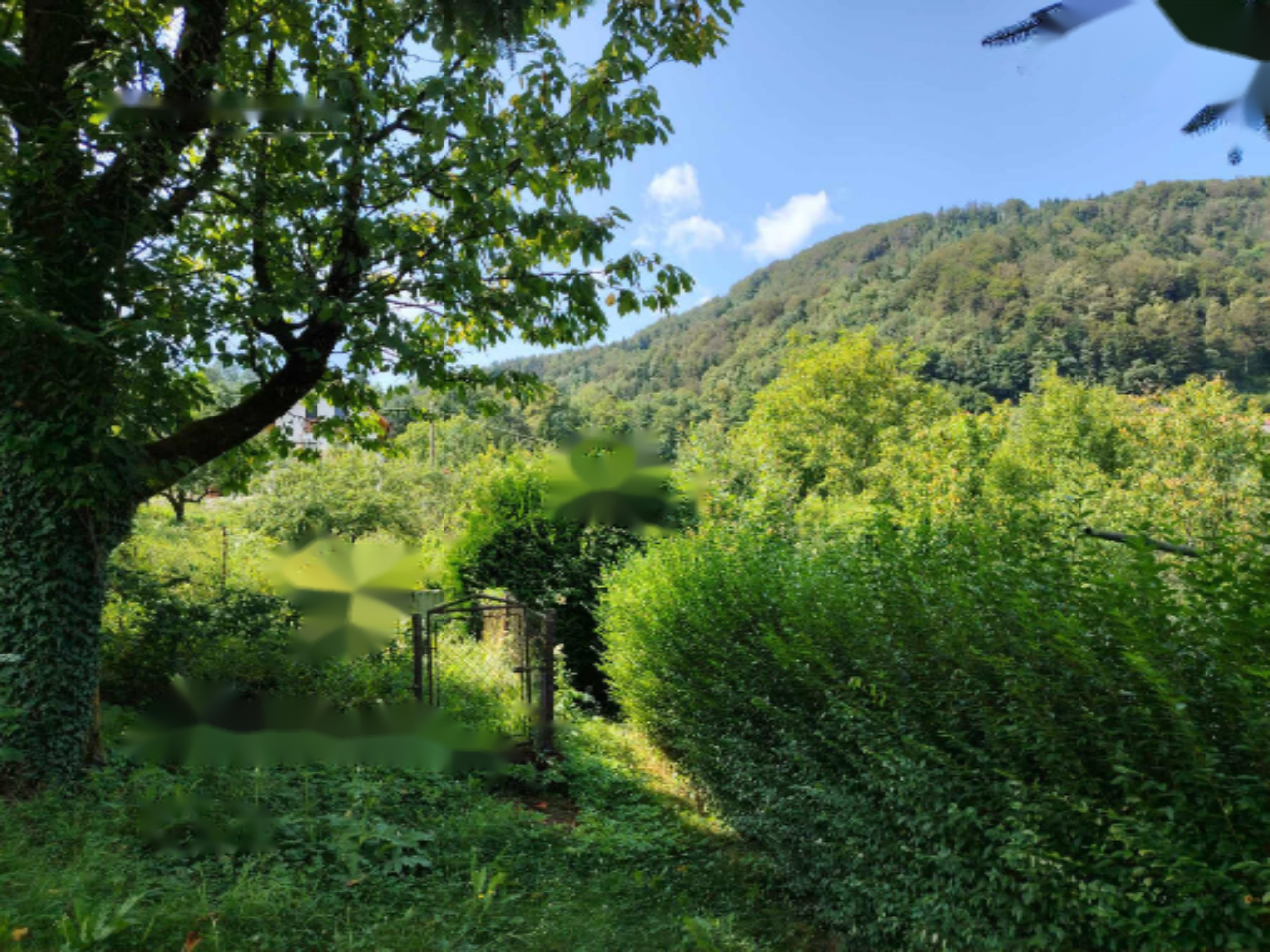 Ферма в Трбовле, Словения, 5 584 м² - фото 7