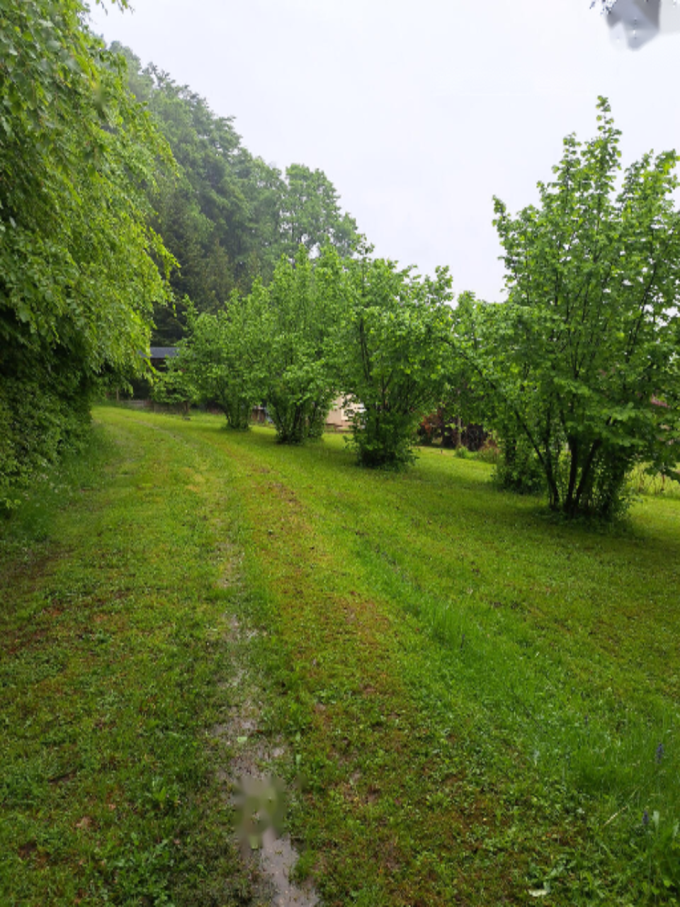 Дом в Орможе, Словения, 77 м² - фото 7