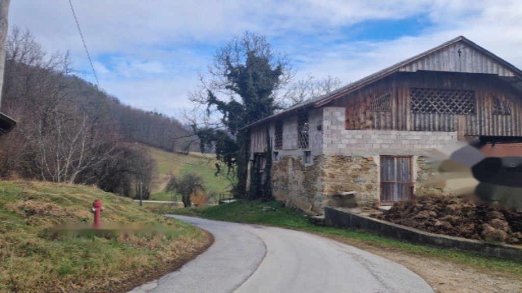 Ферма в Целе, Словения, 45 000 м² - фото 8