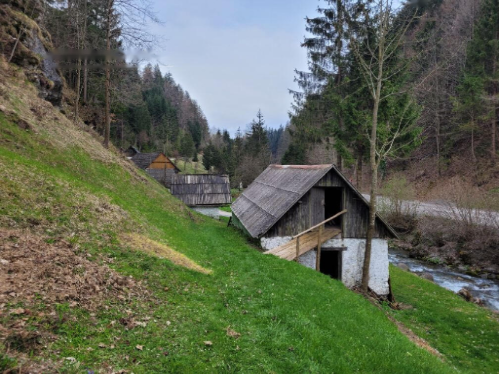 Ферма в Веленье, Словения, 26 317 м² - фото 7