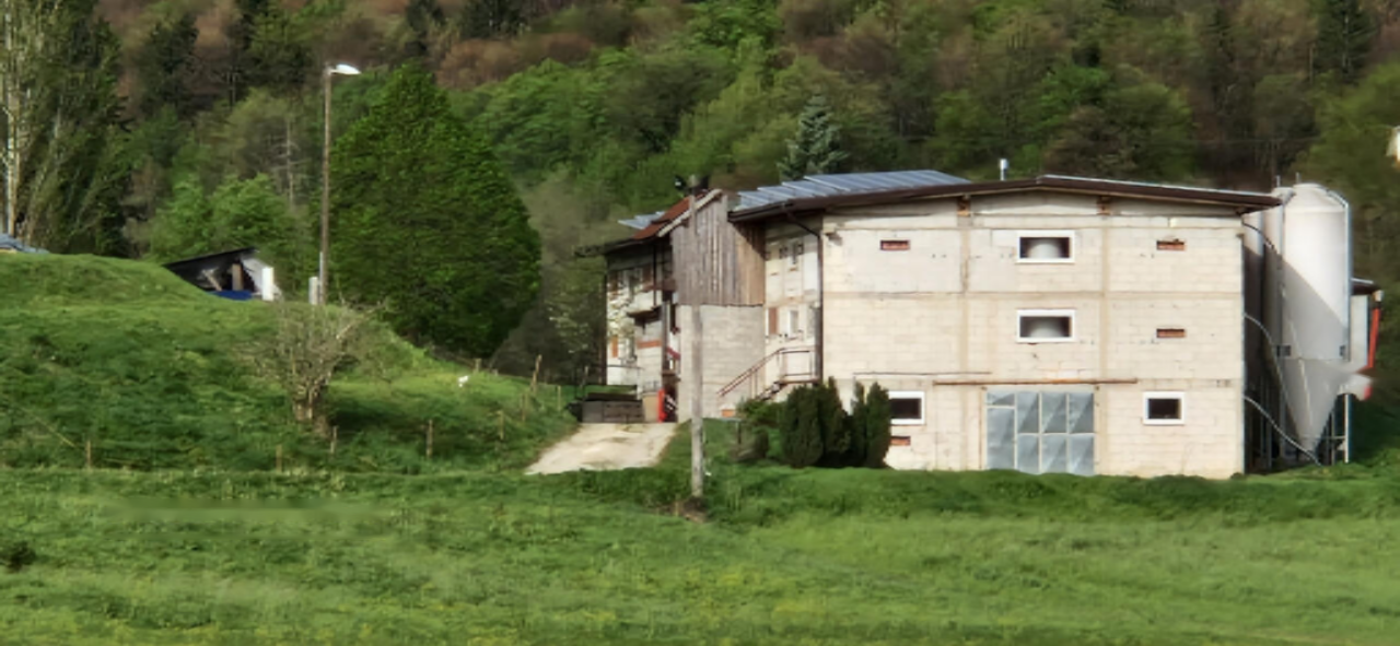 Ферма в Словенска-Бистрице, Словения, 81 802 м² - фото 8