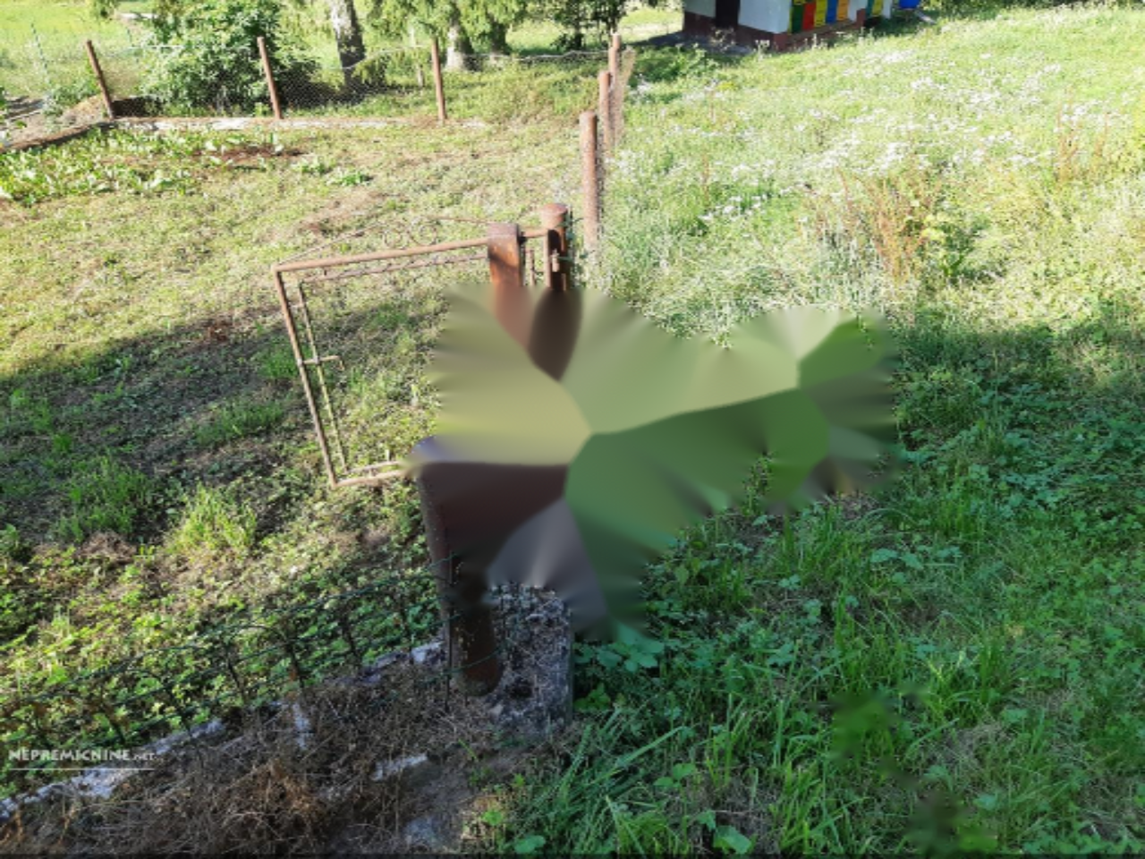 Дом в Шмарье-при-Елшах, Словения, 144 м² - фото 8