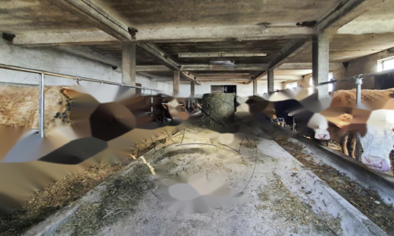 Ферма в Ново-Место, Словения, 190 000 м² - фото 8