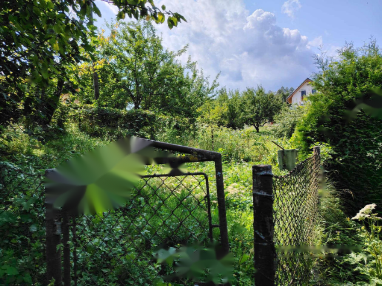 Ферма в Трбовле, Словения, 5 584 м² - фото 8