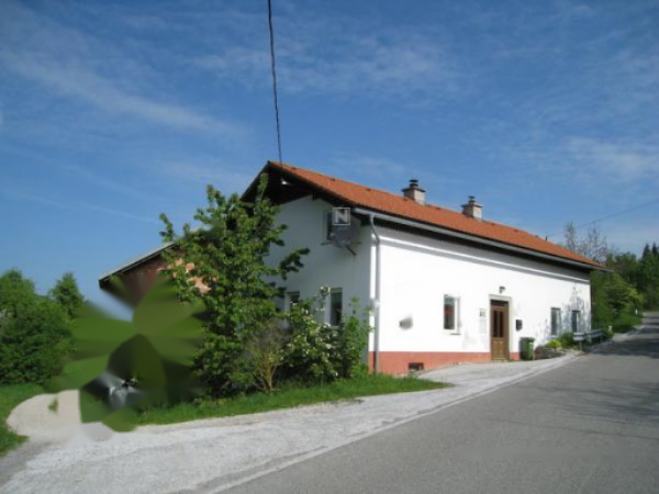 Ферма в Церкнице, Словения, 214 м² - фото 6