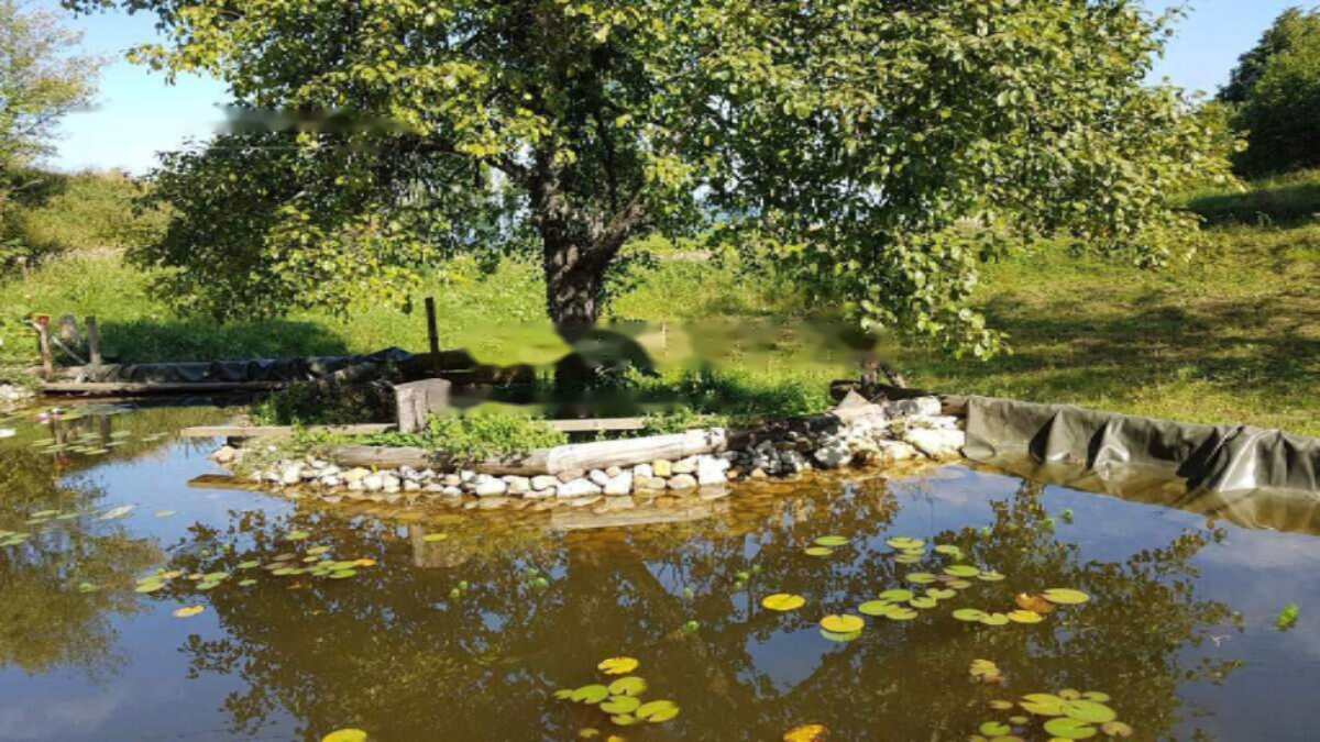 Ферма в Лашко, Словения, 129 000 м² - фото 11