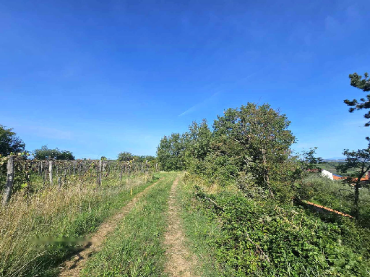 Дом в Копере, Словения, 220 м² - фото 8