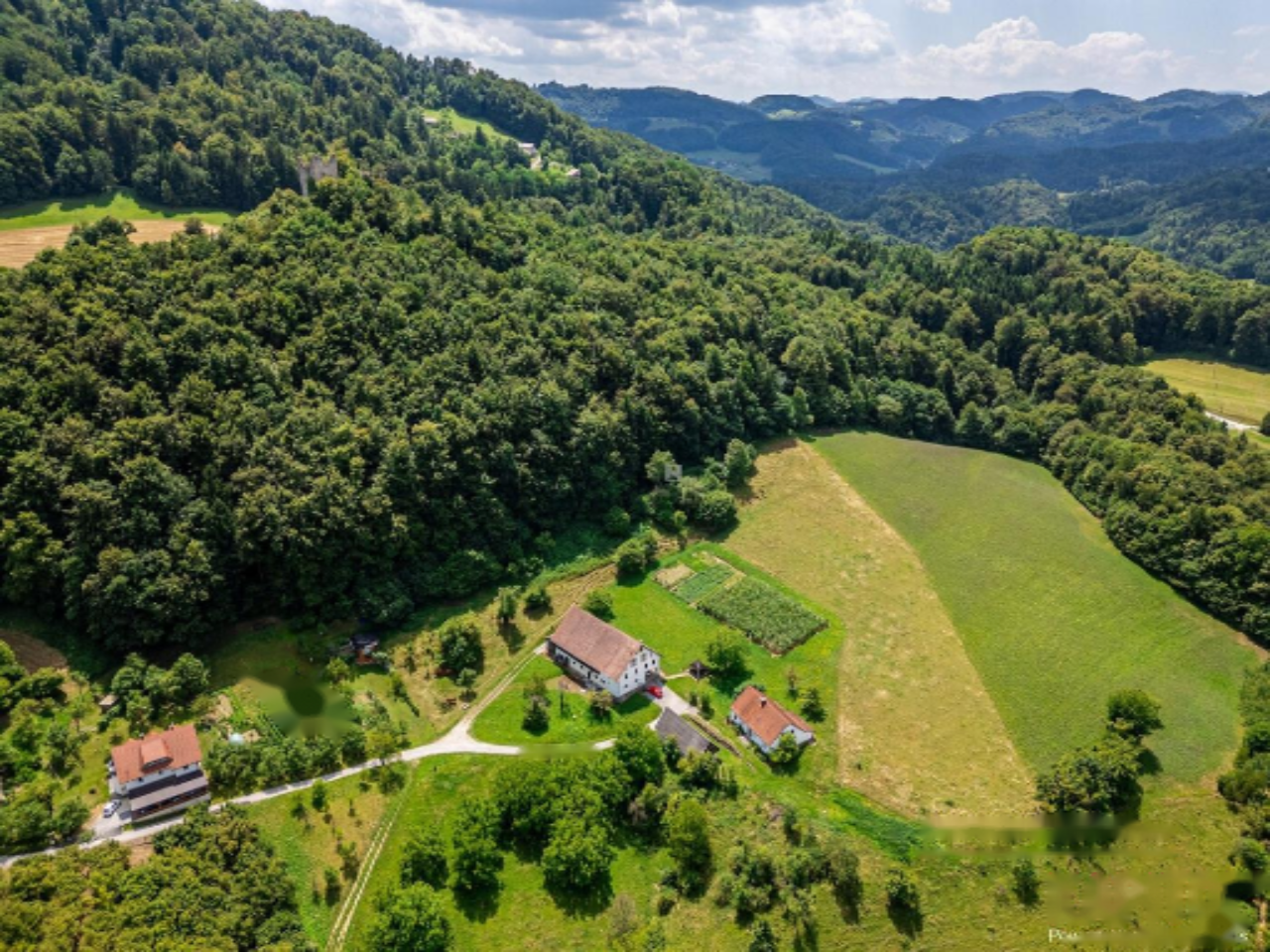 Ферма в Шентюре, Словения, 600 м² - фото 11