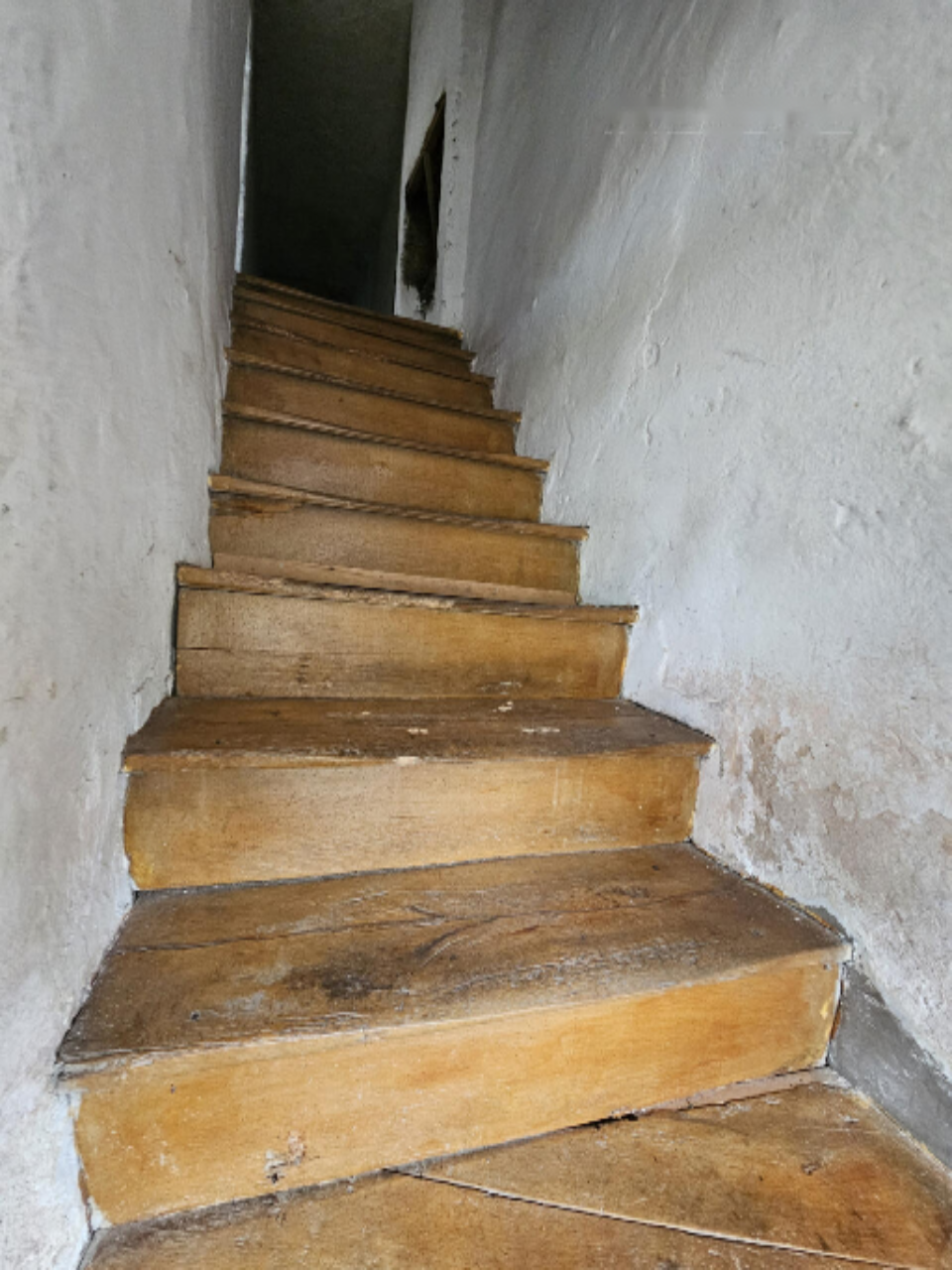 Ферма в Идрии, Словения, 71 786 м² - фото 12