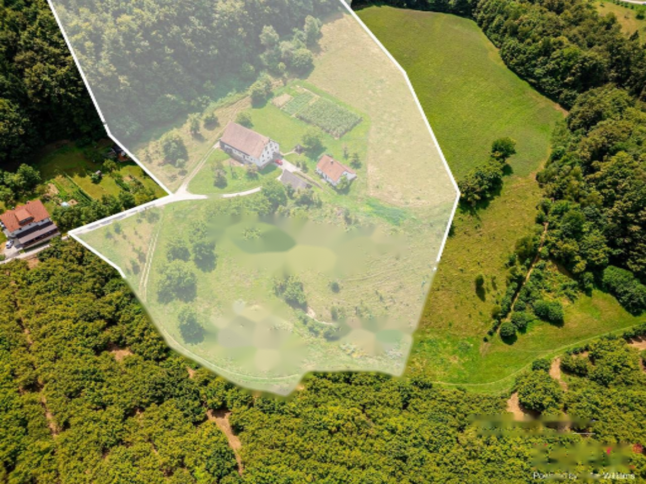 Ферма в Шентюре, Словения, 600 м² - фото 12