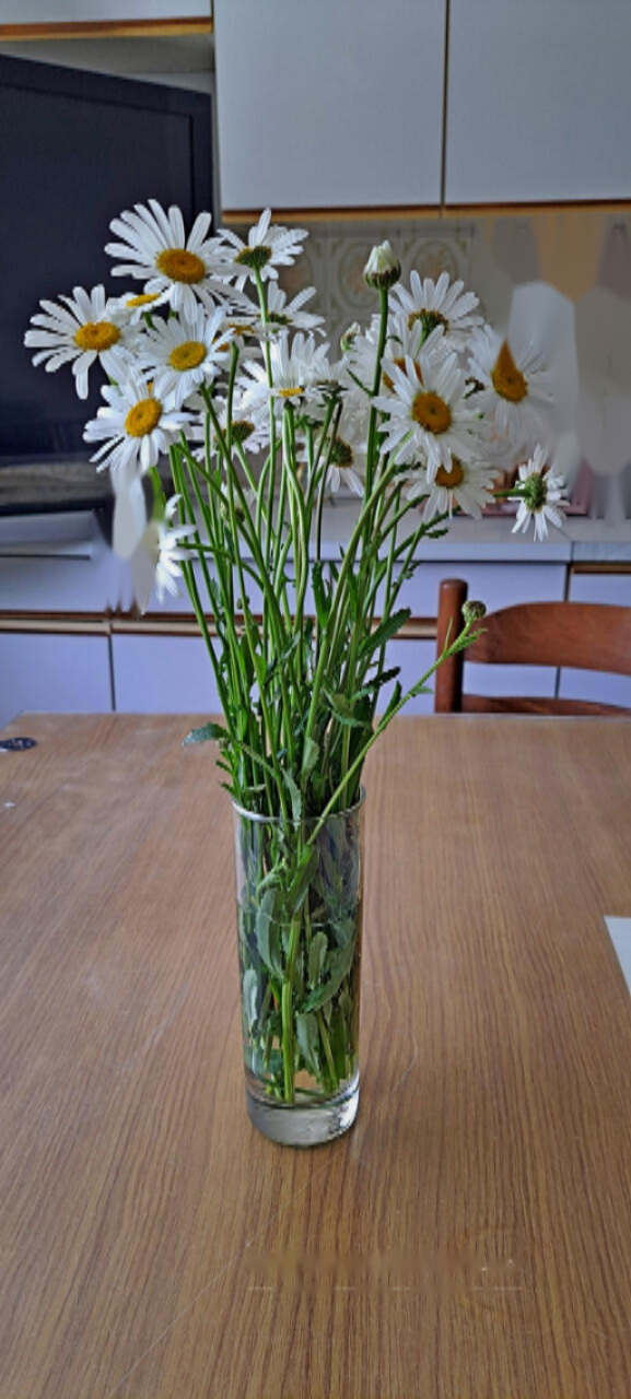 Ферма в Поклюке, Словения, 47 065 м² - фото 13