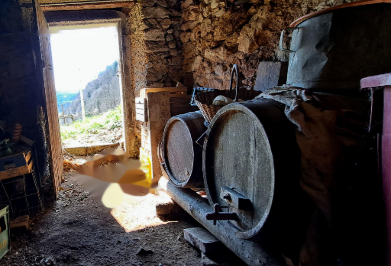 Ферма в Поклюке, Словения, 47 065 м² - фото 14