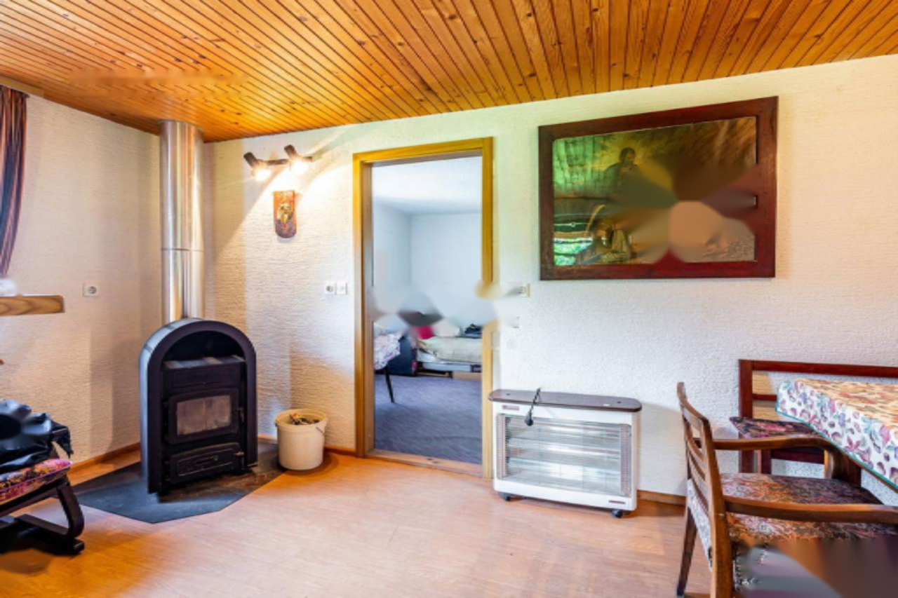 Ферма в Шентюре, Словения, 600 м² - фото 15