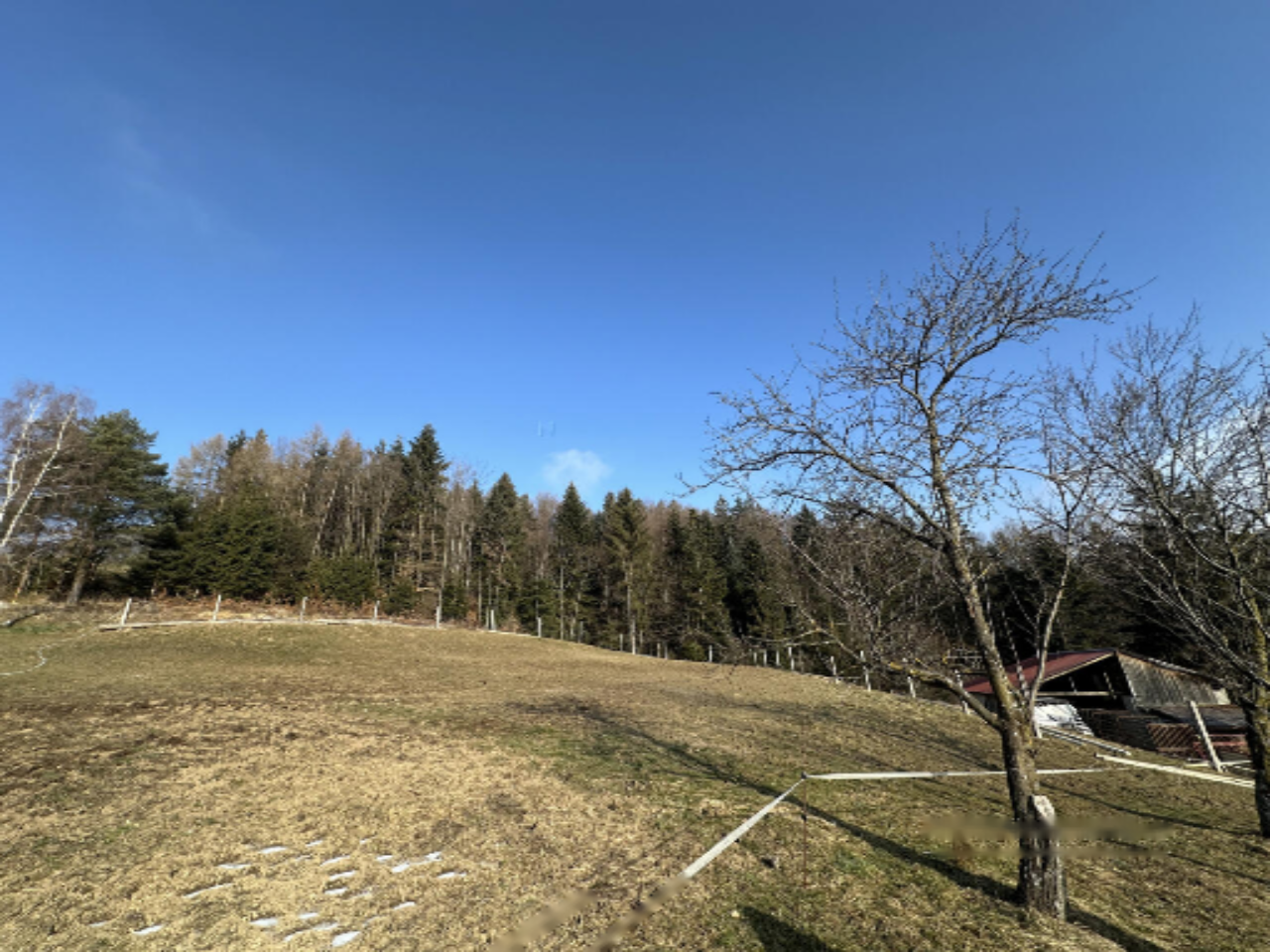 Ферма в Словенске-Конице, Словения, 13 866 м² - фото 16