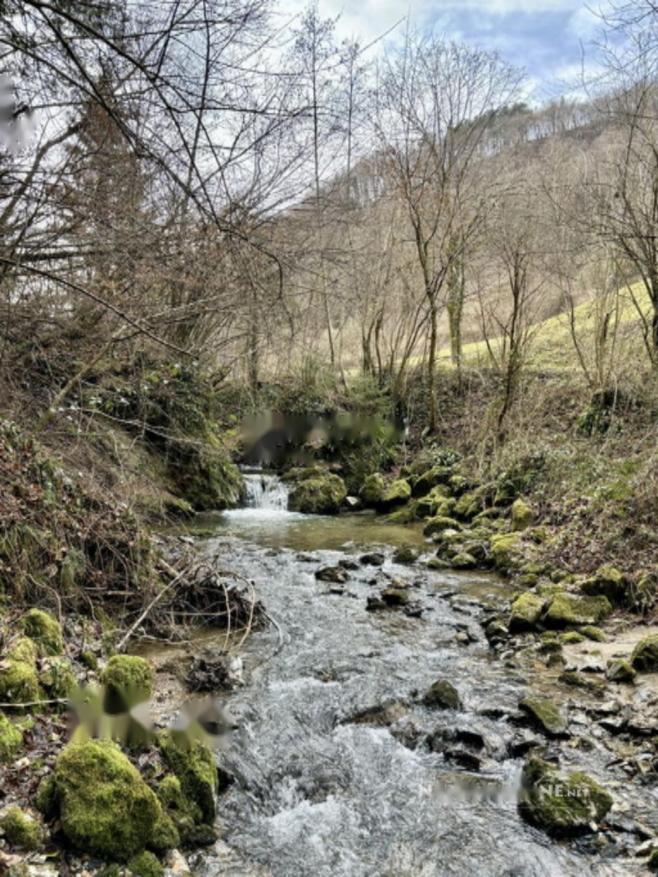 Дом в Шентюре, Словения, 67 м² - фото 17