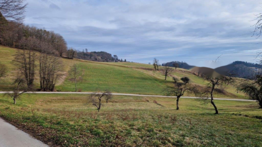 Ферма в Целе, Словения, 45 000 м² - фото 18