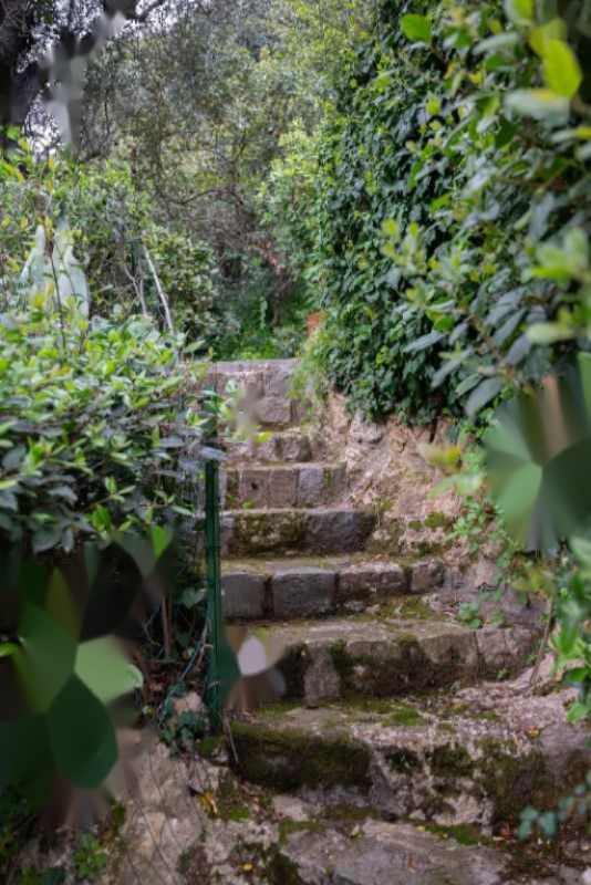 Квартира в Каннах, Франция, 280 м² - фото 19