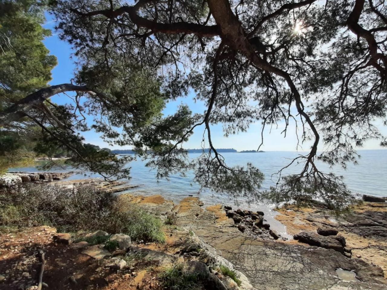 Вилла в Ровини, Хорватия, 155 м² - фото 14