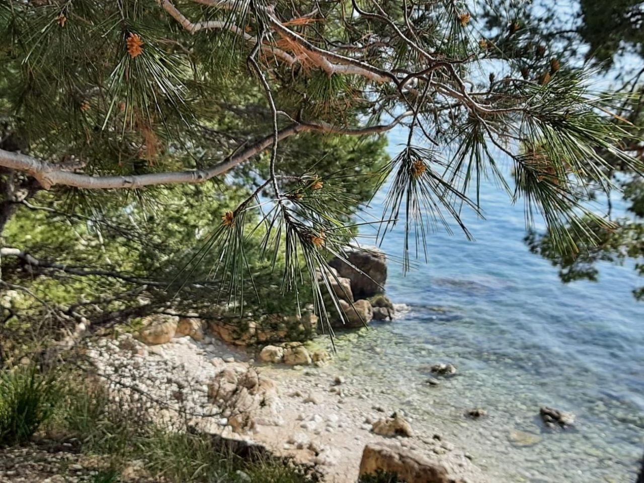 Вилла в Ровини, Хорватия, 155 м² - фото 19