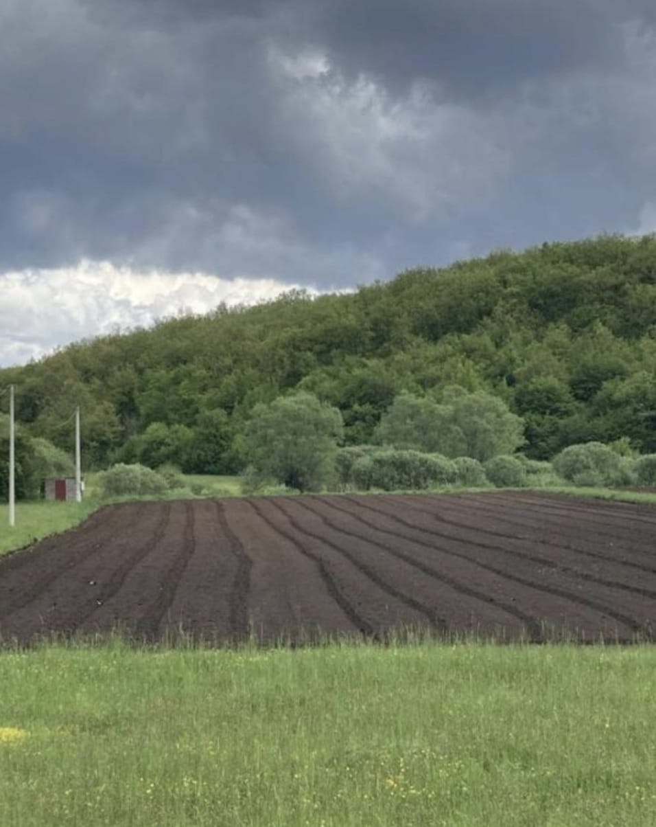 Земля в Никшиче, Черногория, 5 037 м² - фото 3