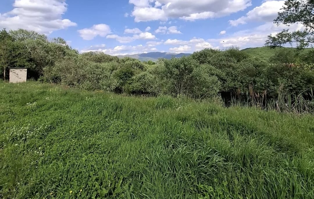 Земля в Никшиче, Черногория, 5 037 м² - фото 5