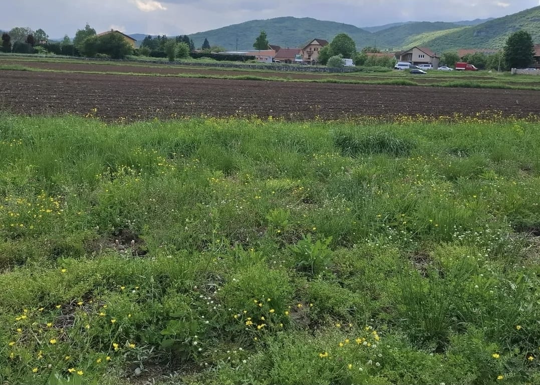 Земля в Никшиче, Черногория, 5 037 м² - фото 1