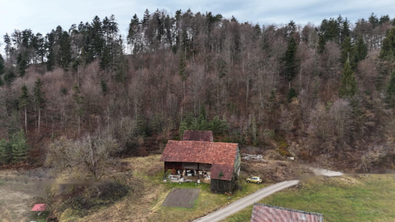 Ферма в Мозирье, Словения, 37 201 м² - фото 2