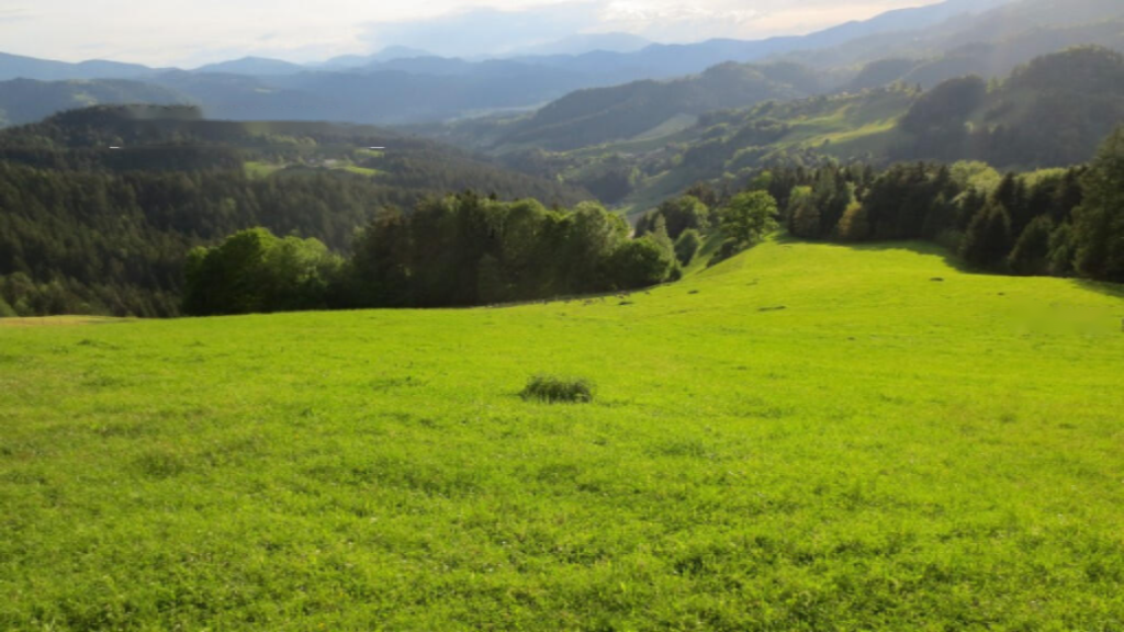 Ферма в Муте, Словения, 114 666 м² - фото 5