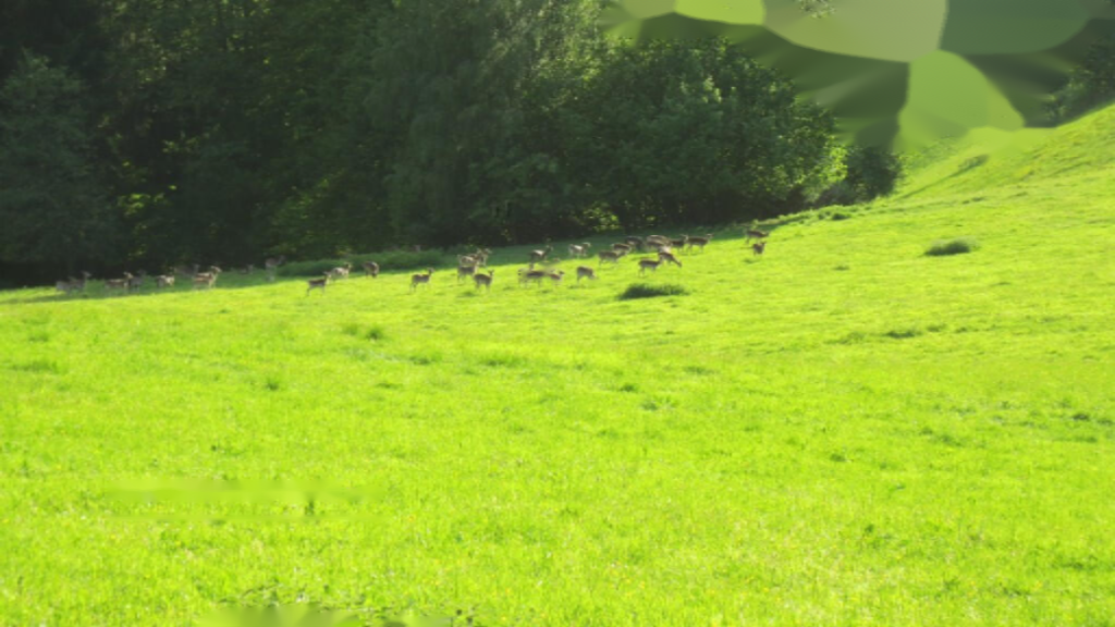 Ферма в Муте, Словения, 114 666 м² - фото 6