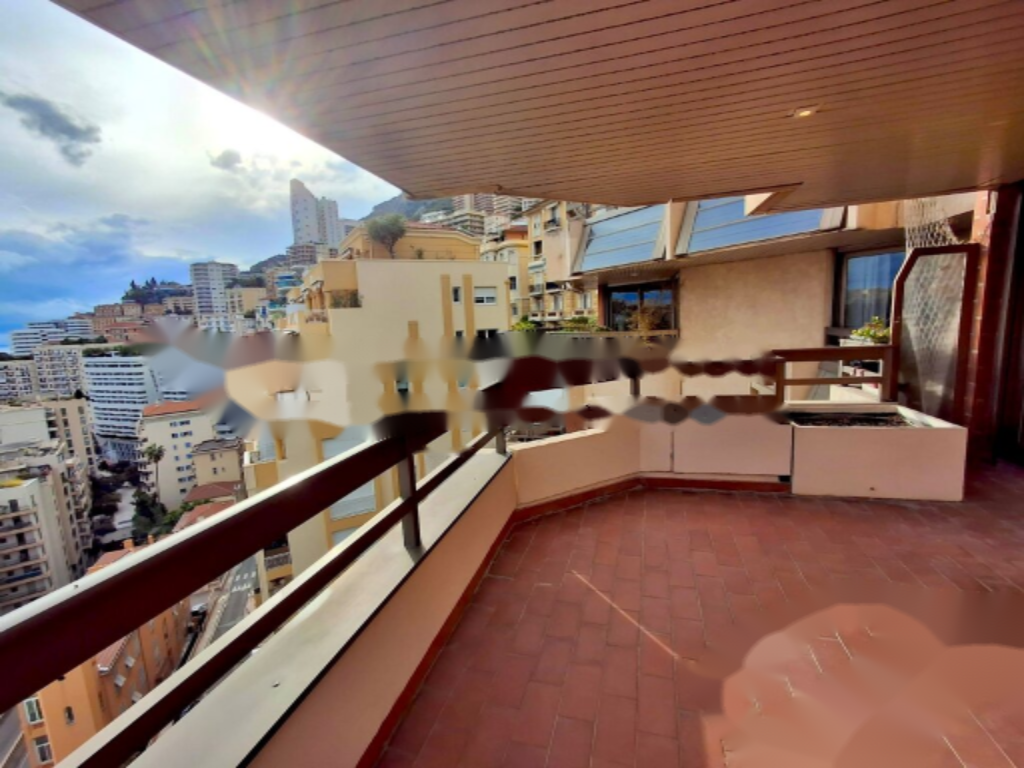 Квартира в Ла-Кондамине, Монако - фото 8