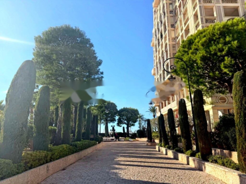 Квартира в Фонвьее, Монако, 750 м² - фото 10