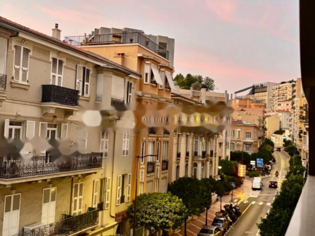 Квартира в Ла-Кондамине, Монако, 53 м² - фото 2