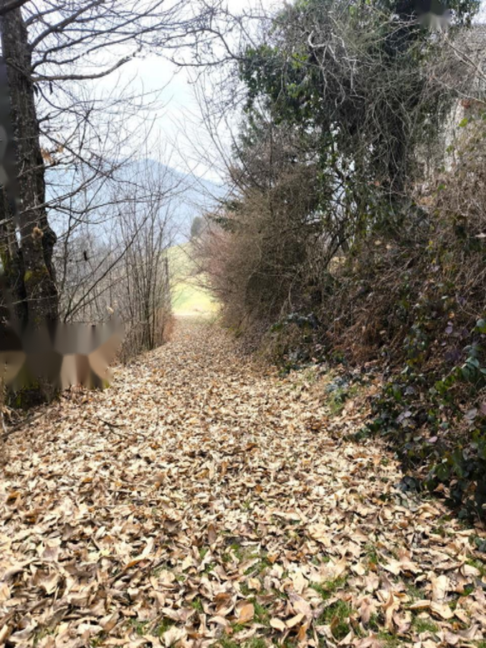 Дом в Литие, Словения, 82 м² - фото 3