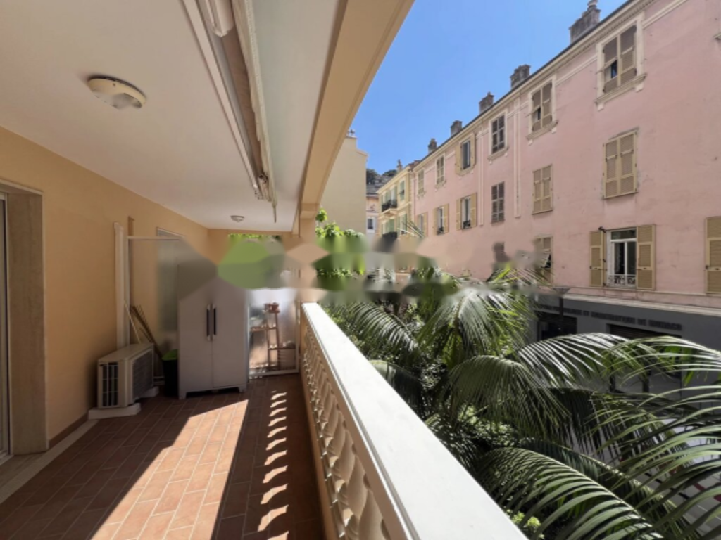 Квартира в Ла-Кондамине, Монако, 43 м² - фото 3