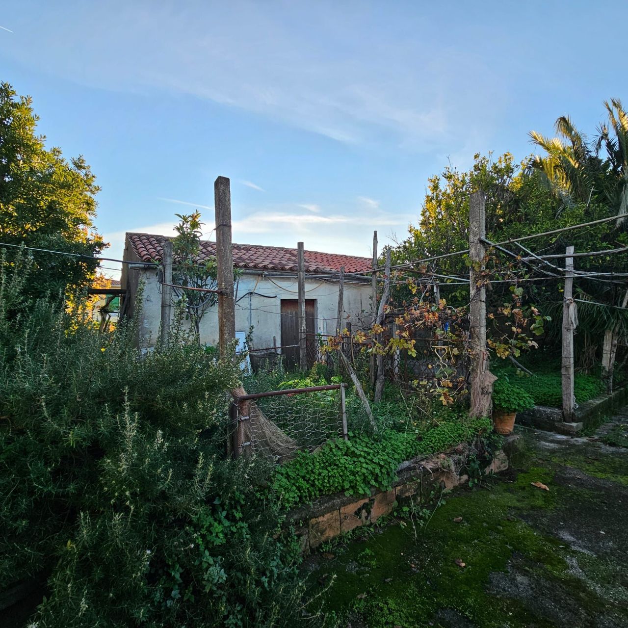 Дом в Диаманте, Италия, 146 м² - фото 16