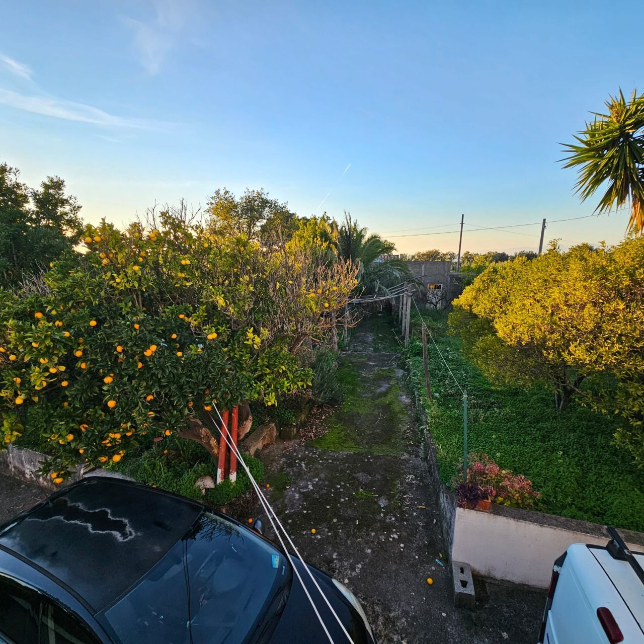 Дом в Диаманте, Италия, 146 м² - фото 17