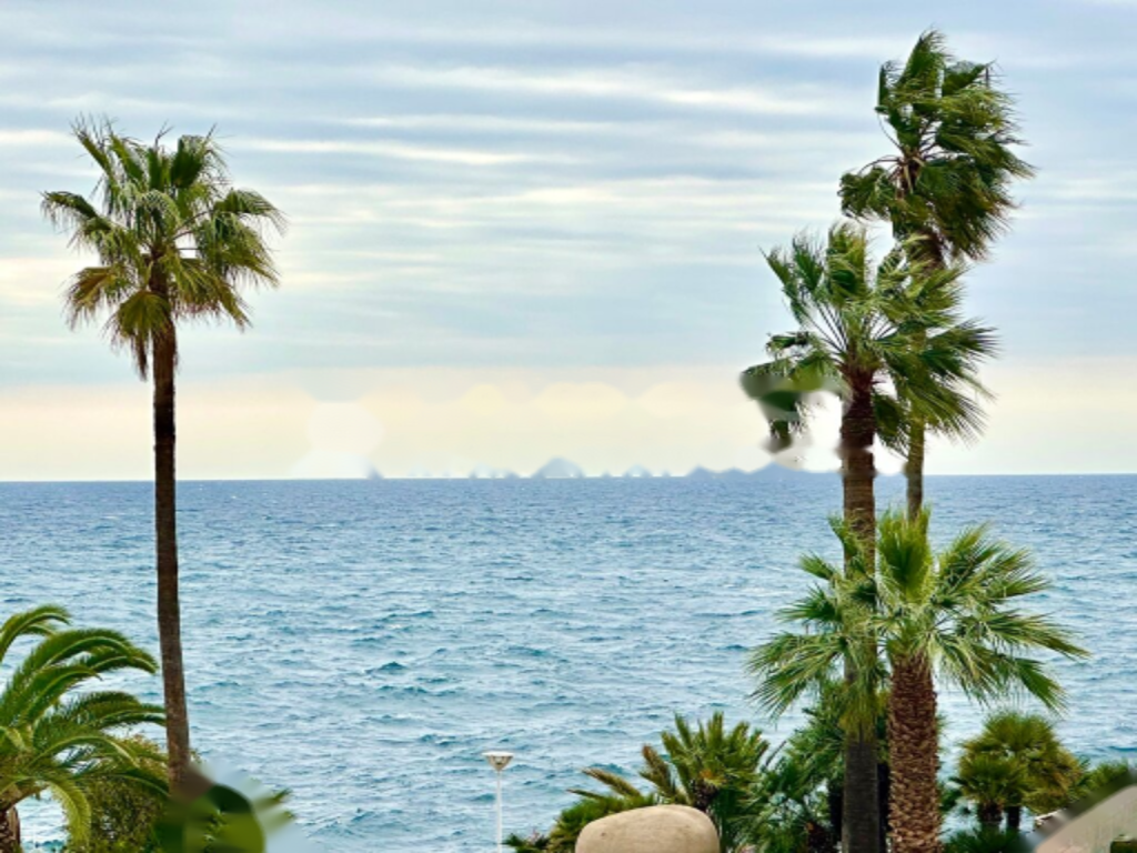 Квартира в Фонвьее, Монако, 245 м² - фото 3