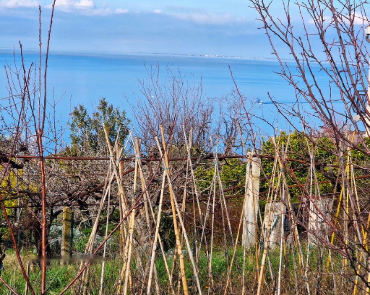 Дом в Пиране, Словения, 122 м² - фото 4