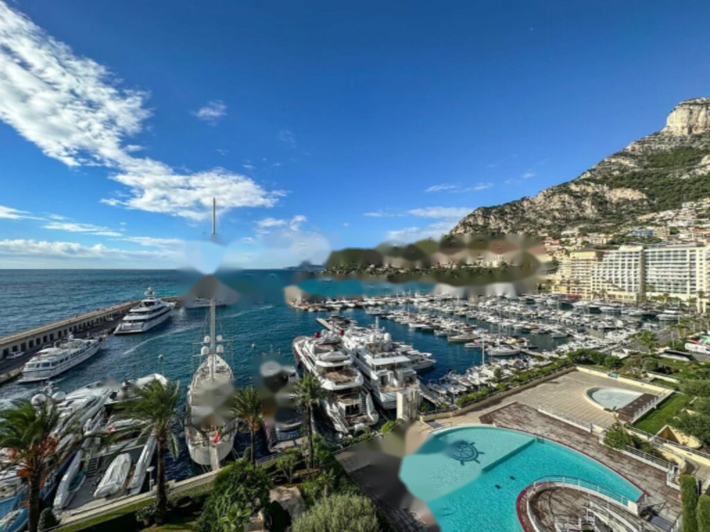 Квартира в Фонвьее, Монако, 750 м² - фото 5