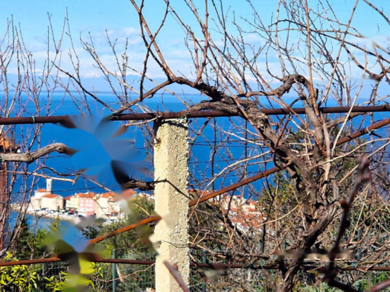 Дом в Пиране, Словения, 122 м² - фото 6