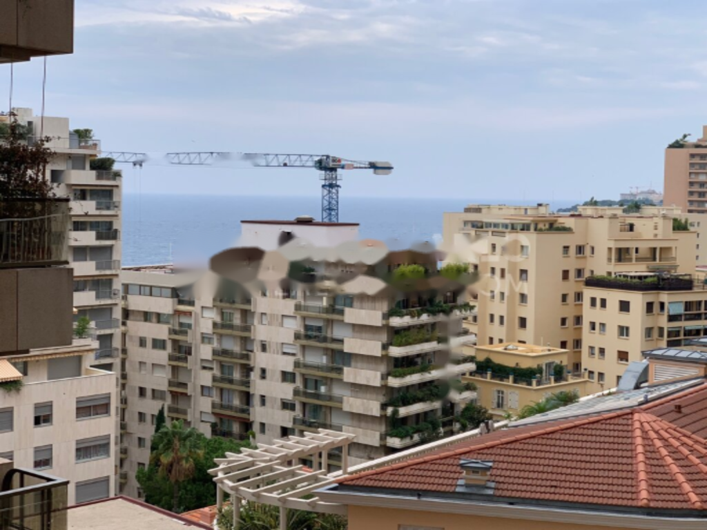 Квартира в Сен-Романе, Монако, 126 м² - фото 8