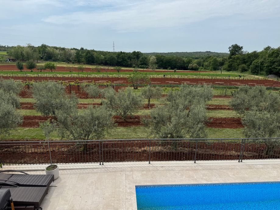 Квартира в Буйе, Хорватия, 110.94 м² - фото 15