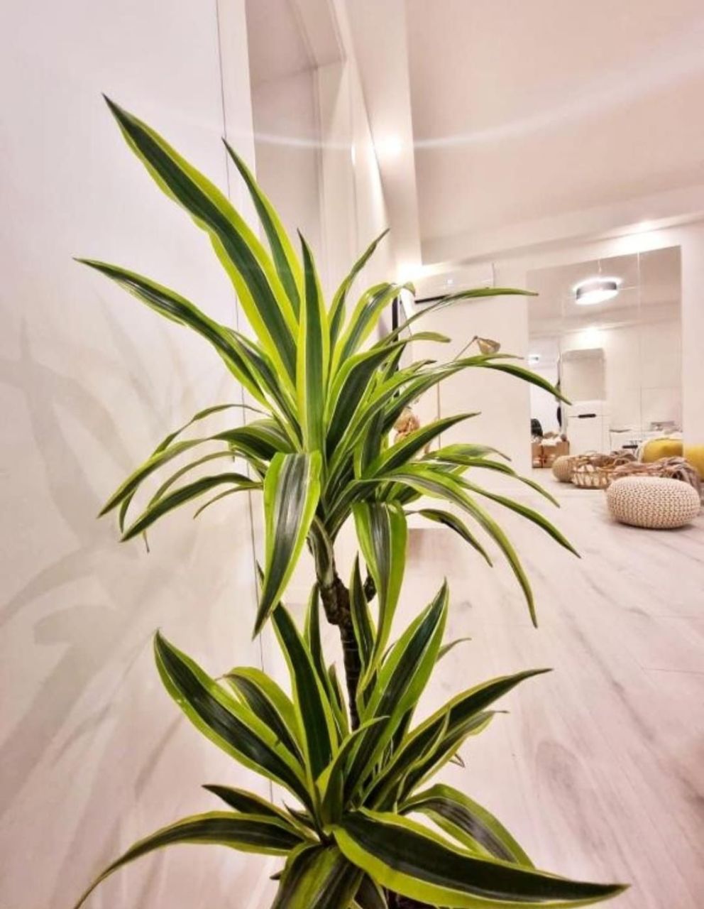 Квартира в Пуле, Хорватия, 68 м² - фото 15